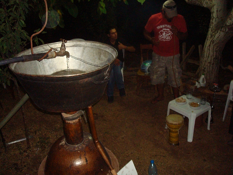 Dsc06016.jpg