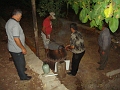 Dsc06057