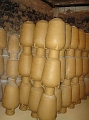 Dsc03405