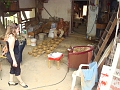 Dsc03422