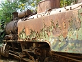 DSC04805