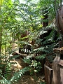 DSC04809