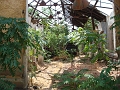 DSC04810
