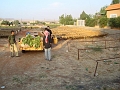 DSC05157