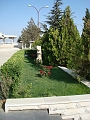 DSC05083