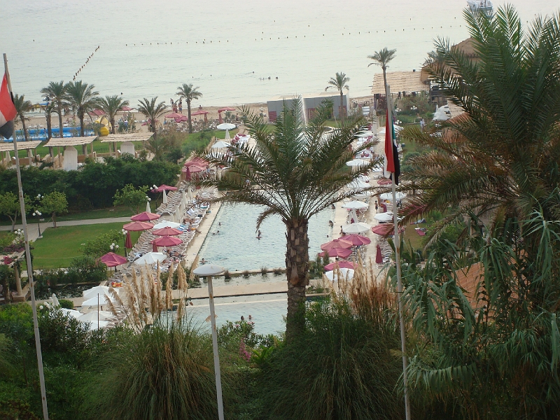 Dsc04529.jpg