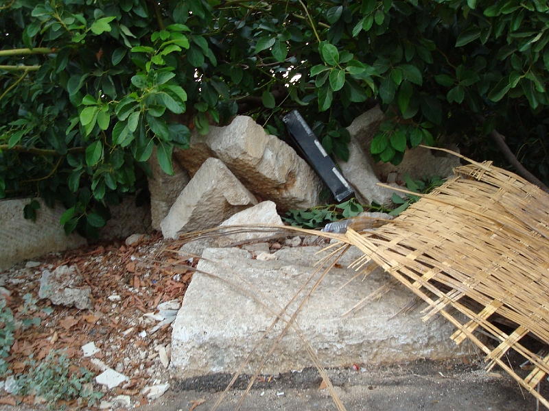 Dsc04533.jpg
