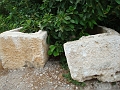 Dsc04534