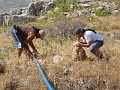 DSC04625_JPG