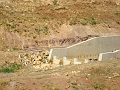 Dsc04471