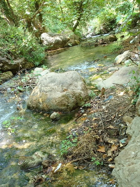 Dsc02498.jpg