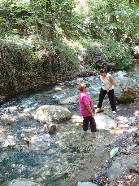 Dsc02500.jpg