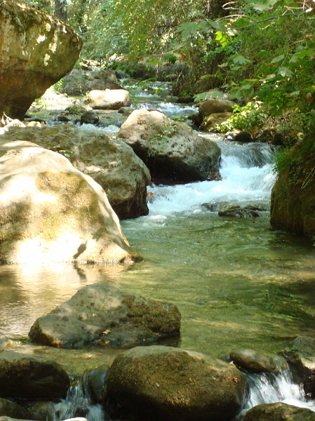 Dsc02502.jpg