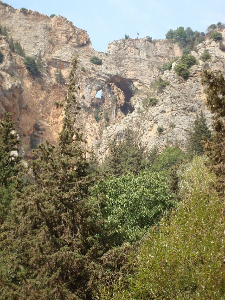 Dsc02504.jpg
