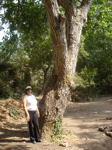 Dsc06317.jpg