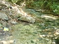 Dsc02497