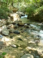 Dsc02501