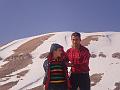Cedars