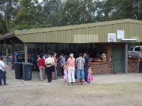 DSC02225