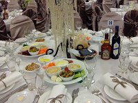 ABA Ball 2010 010
