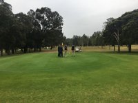 IMG 7734