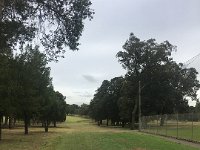 IMG 9852