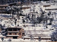 Leb 07 I jpg