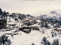 Leb 10 G jpg