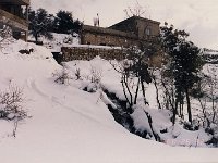 Leb 11 A jpg