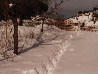 Leb 13 O jpg