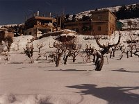 Leb 14 O jpg