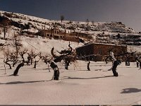 Leb 16 O jpg