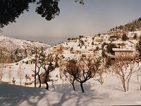 Leb 20 O jpg
