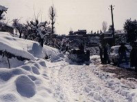 Leb 21 I jpg