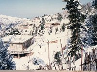 Leb 24 I jpg