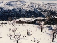 Leb 26 I jpg