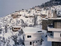 Leb 29 J jpg