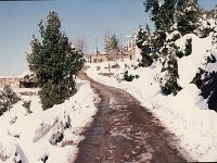 Leb 31 A jpg