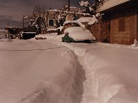 Leb 31 M jpg