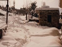 Leb 35 M jpg