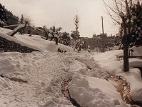Leb 36 M jpg