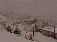 Leb 36 U jpg