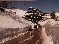 Leb 25 L