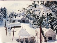 Leb 34 C