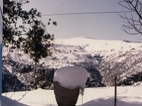 Leb 36 A