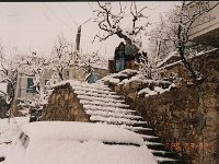 Leb 25 U jpg