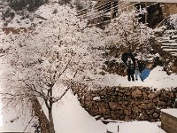 Leb 31 U jpg