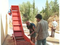 Leb BT029