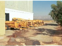Leb BT031