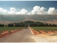 Leb BT033